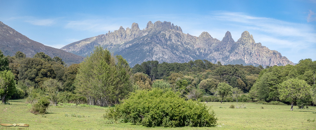 _MG_2205-_MG_2207 - (1769) - 9882x4096.jpg