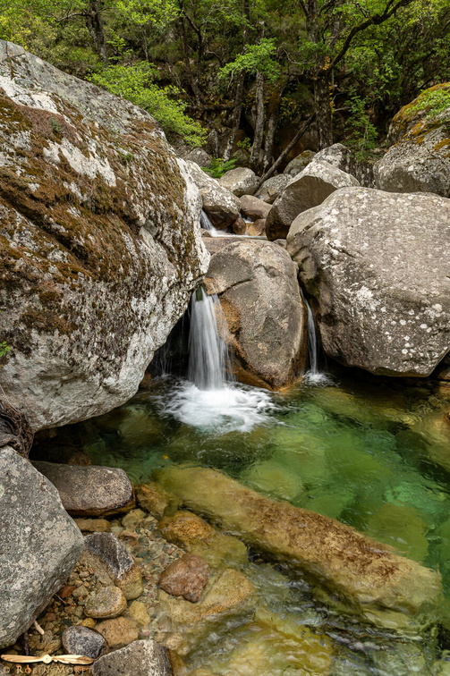 _MG_2029.jpg